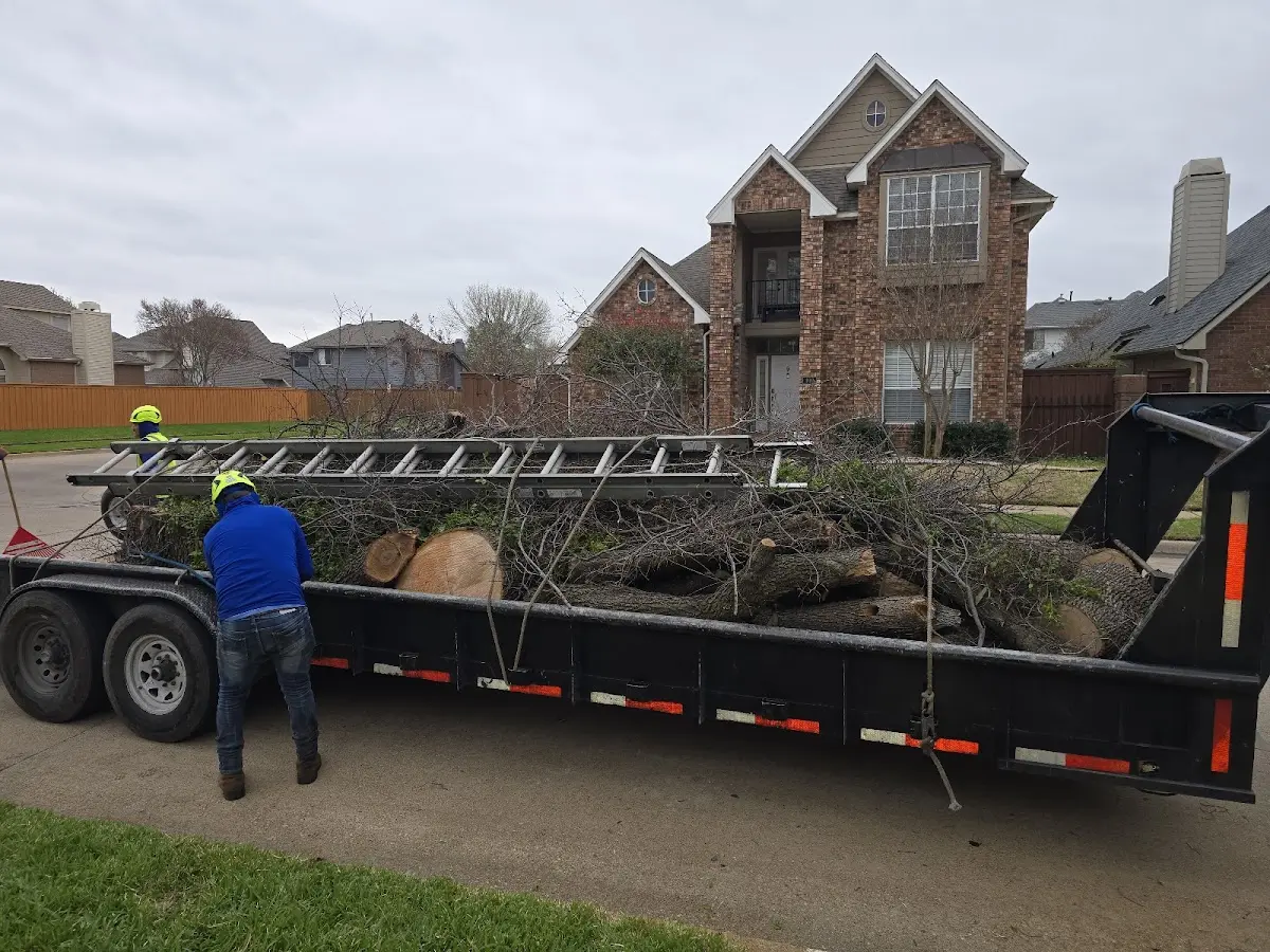 Expert Lot Clearing with proper safety equipment in Chilhowie